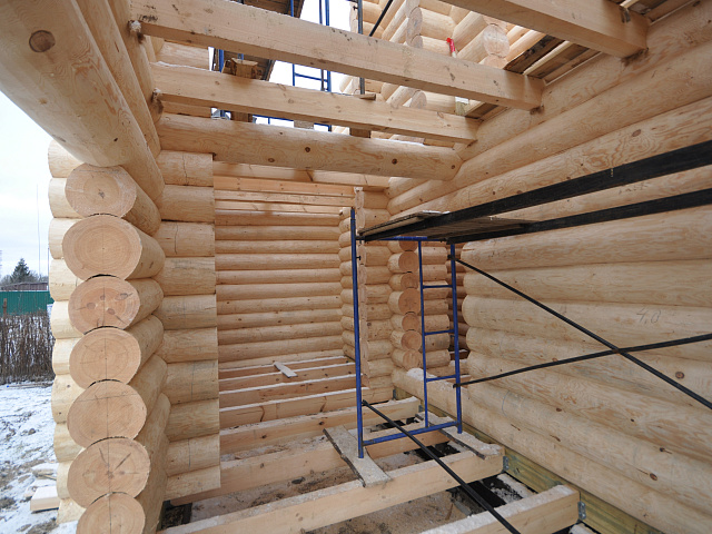 Сборка сруба на берегу Волги: готов первый этаж и начат второй  - чистая сосна, плотный лунный паз, аккуратный джут